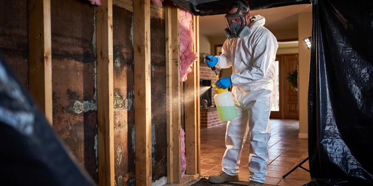 Mold Removal in Henderson, NV